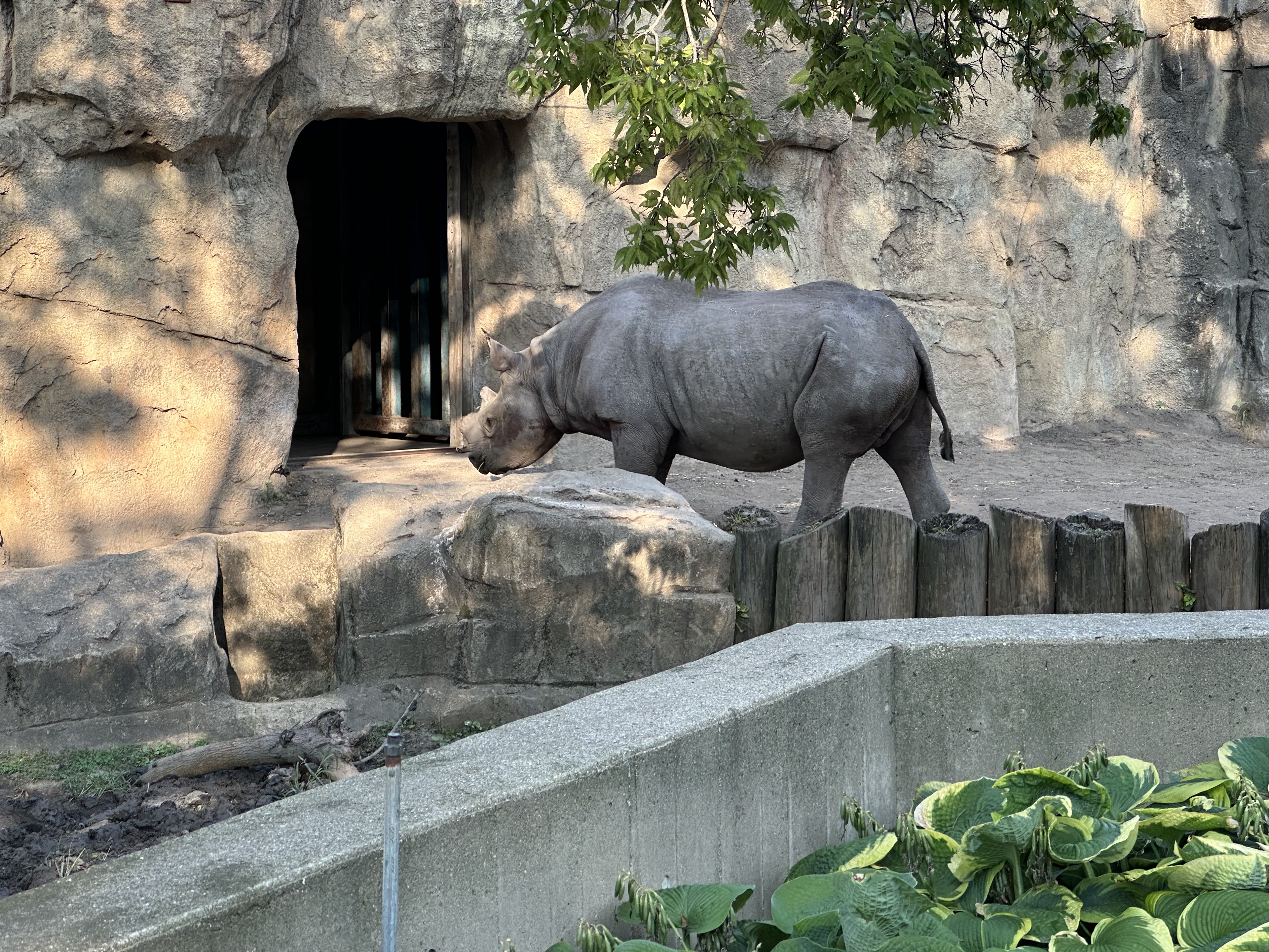 Photo near Lincoln Park Zoo