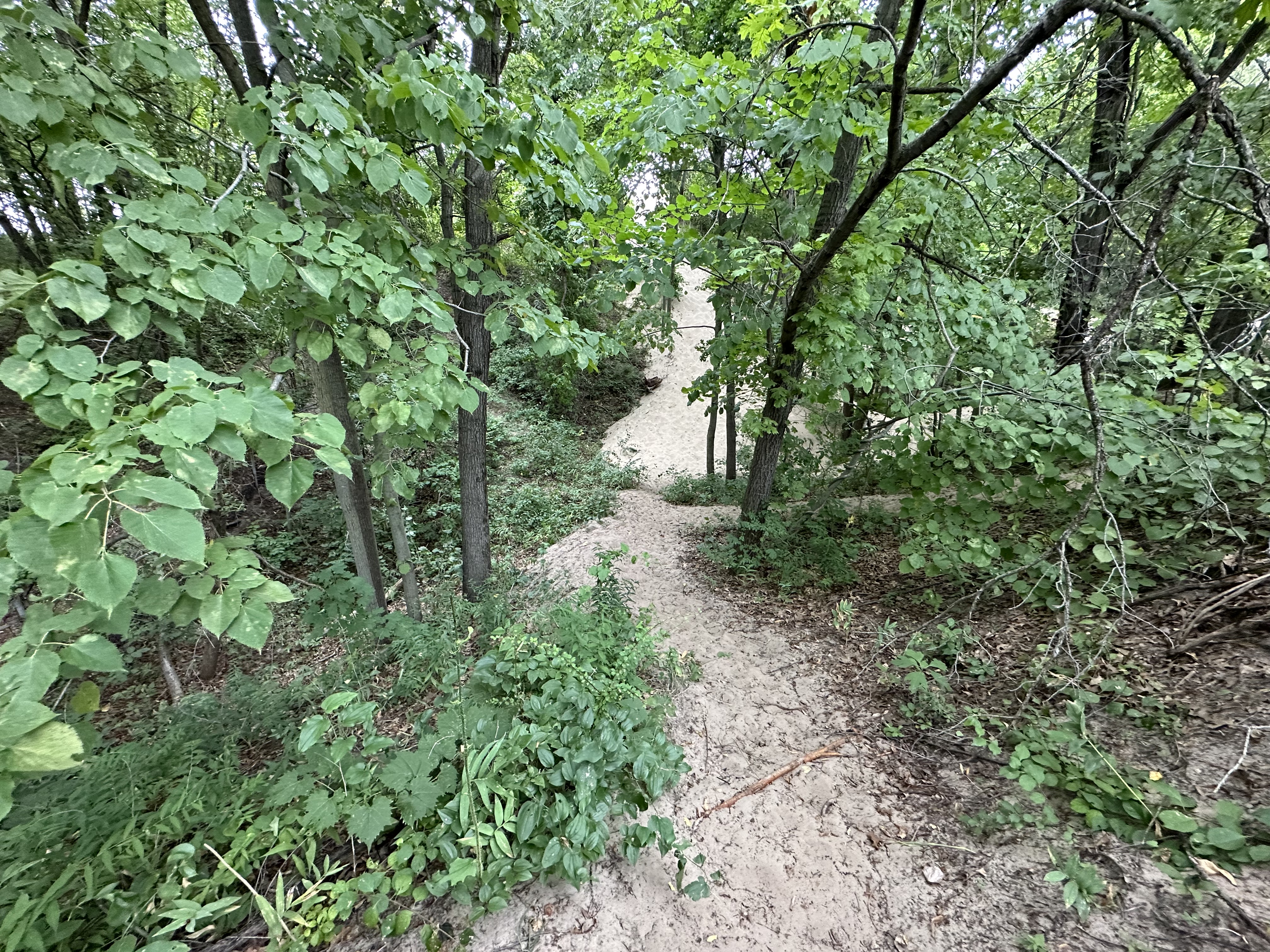 Photo near Indiana Dunes