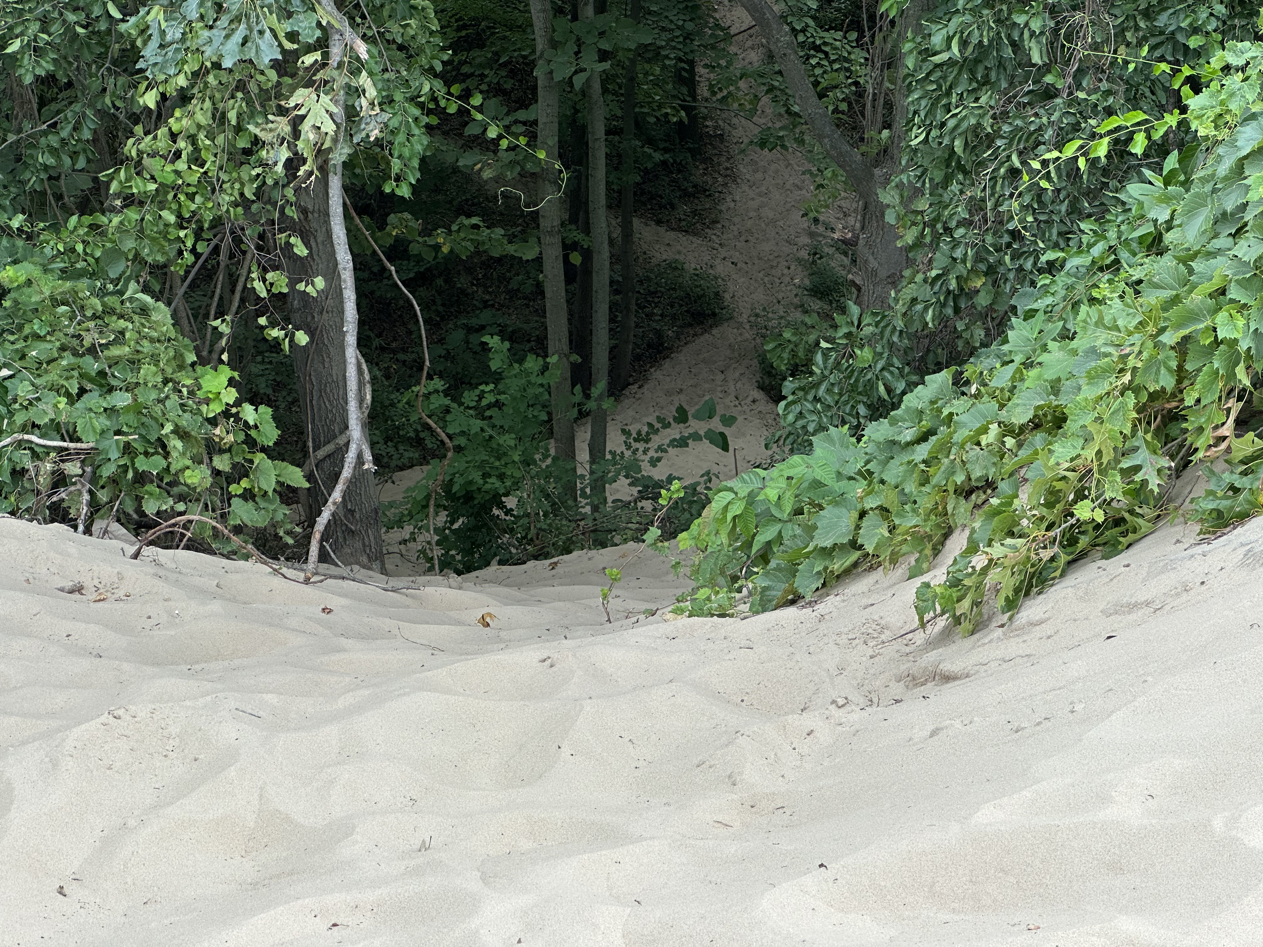 Photo near Indiana Dunes
